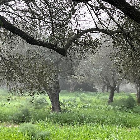 Muristene Pozzo Santa Cristina Paulilatino Buitenkant foto