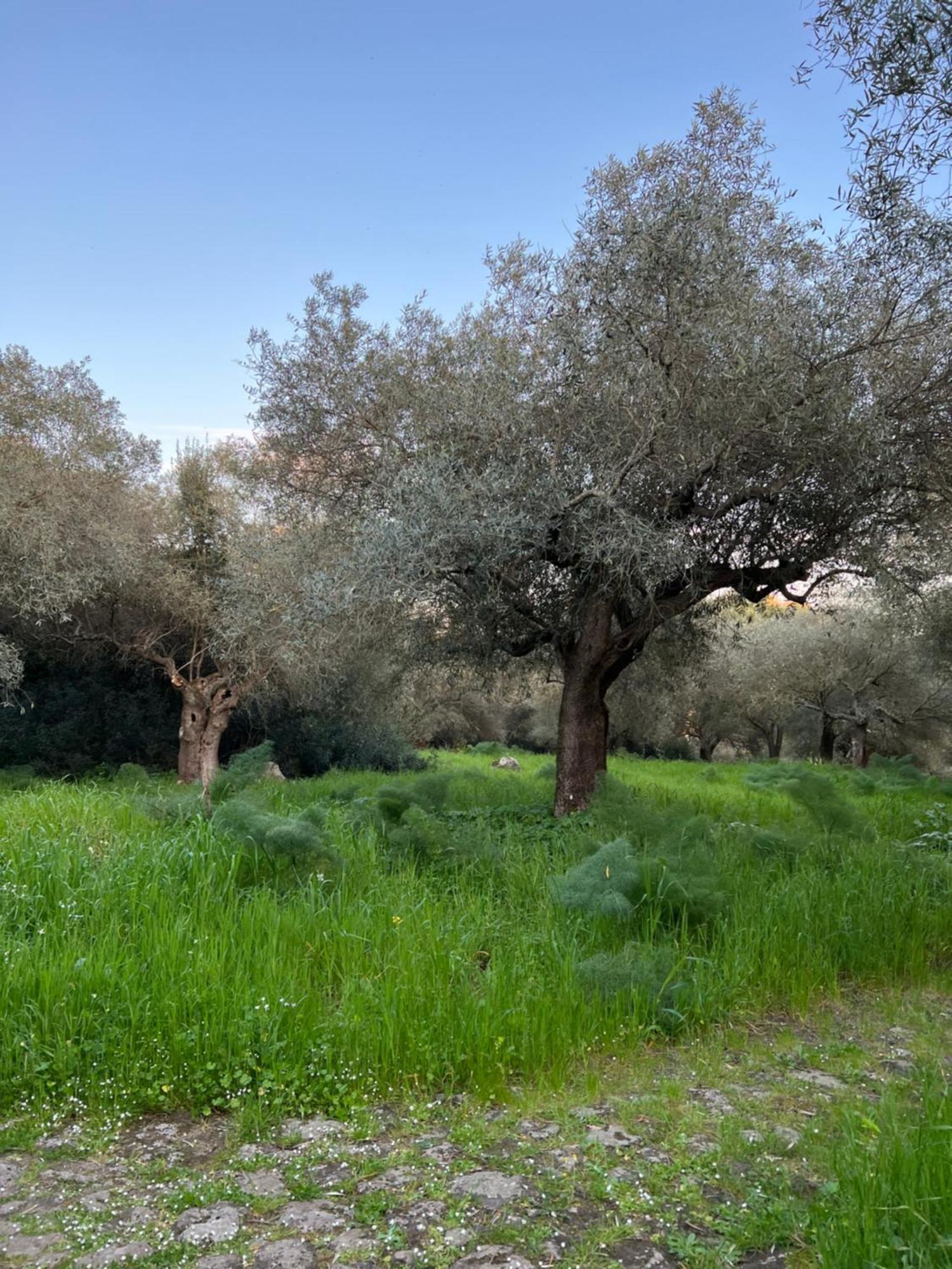 Muristene Pozzo Santa Cristina Paulilatino Buitenkant foto
