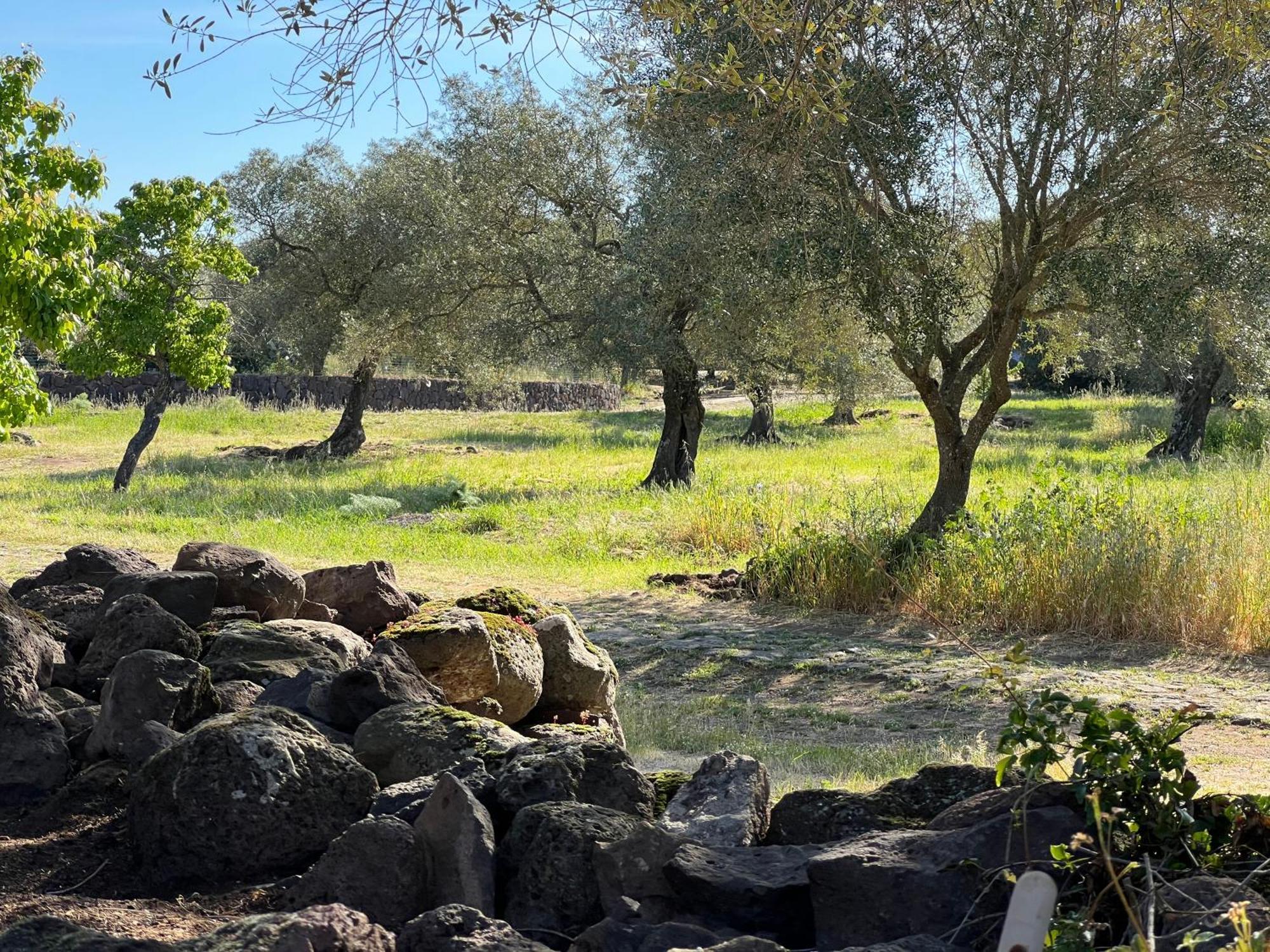 Muristene Pozzo Santa Cristina Paulilatino Buitenkant foto